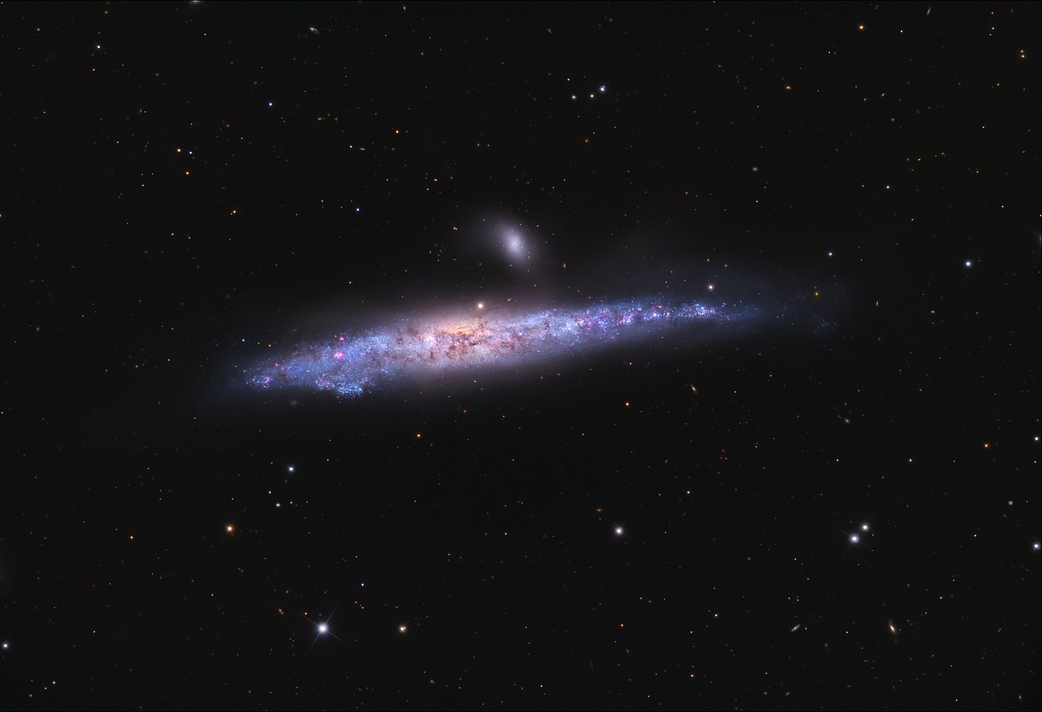 The Whale Galaxy