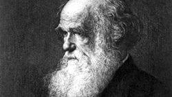 Darwin'in Kayıp Kütüphanesi Çevrimiçi Olarak Ziyarete Açıldı!