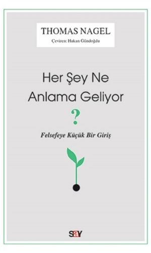 Her Şey Ne Anlama Geliyor?