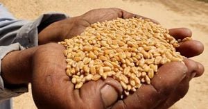 Global Food Prices Hold Steady Amid Market Swings