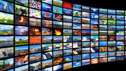 Evrim Ağacı'nın Artık Bağımsız Bir Video Veri Tabanı Var!