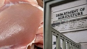Seven States Hit By Major Chicken Recall Over Listeria Fears