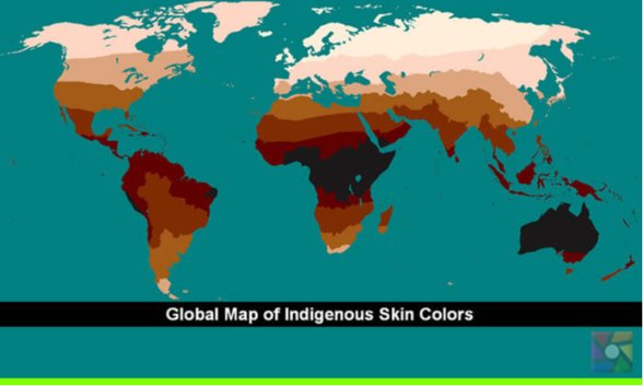Coğrafi Kuşaklar ve Ten Rengi