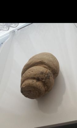Gezerken bulduğum bu şey fosil midir?
