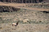 An Amendment to Sell Thousands of Acres of Public Land in Nevada and Utah Just Slipped into a House Budget Bill