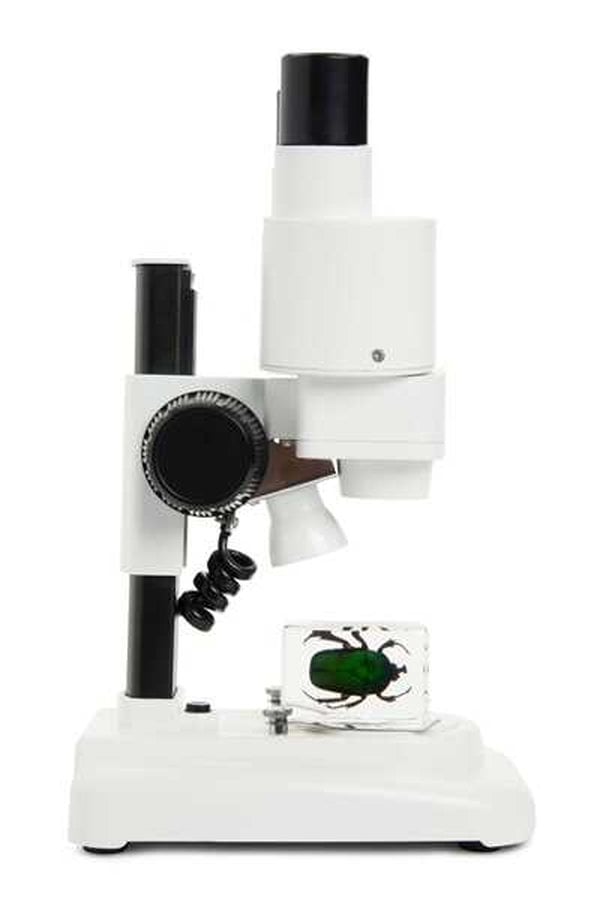 Celestron Labs S20 Stereo Mikroskop