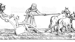 Olmasaydı Ne Olurdu?