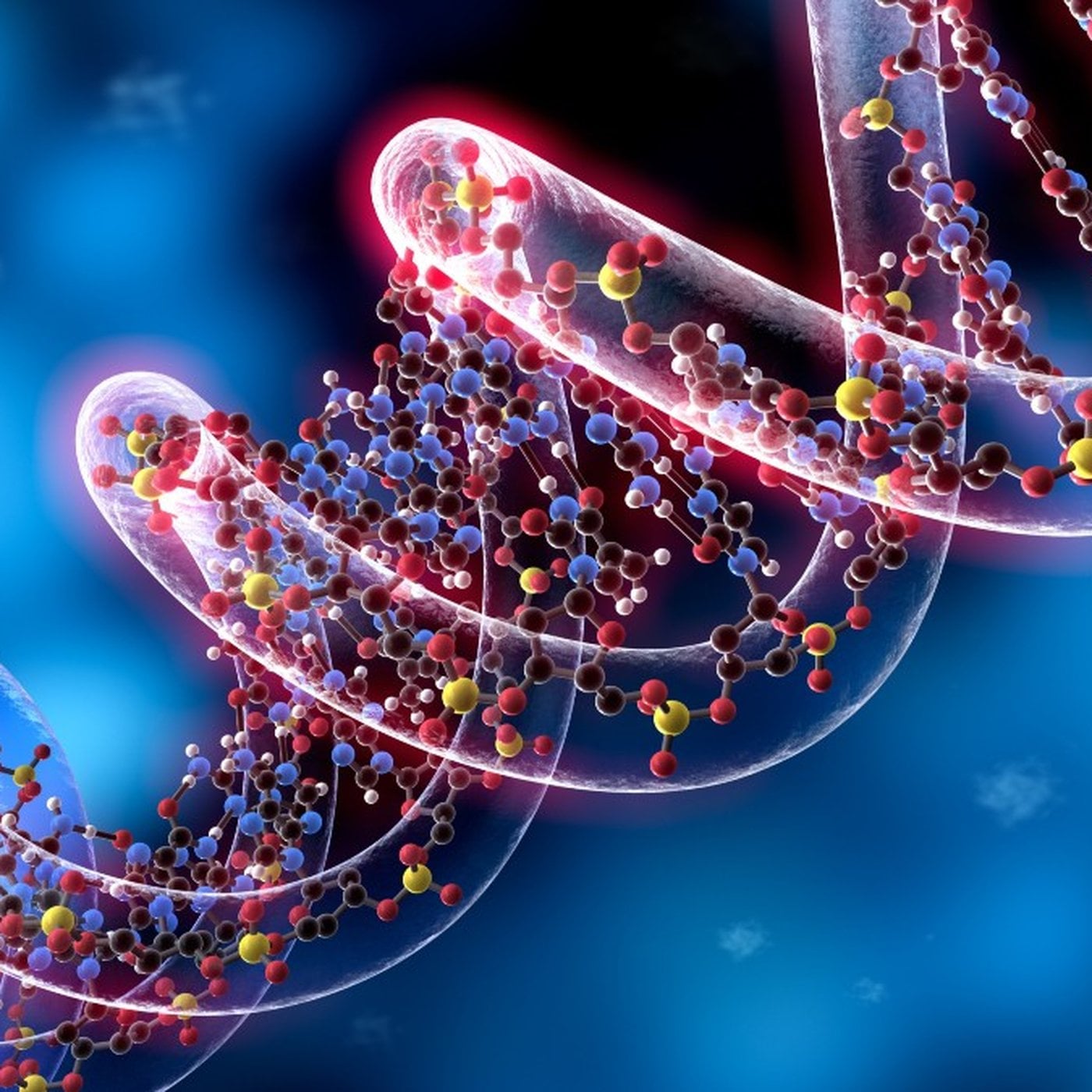 Evrim Ağacı ile Bilime Dair Her Şey!