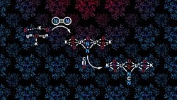 Haber-Bosch Döngüsü ile Dünyayı Beslemek: Kimya Mühendisliği, Gıda Üretim Verimliliğini Nasıl Arttırdı?