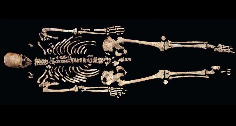 Kennewick İnsanı İskeleti.