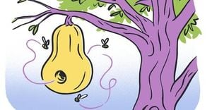 New York Times Connections Puzzle Rings In The New Year