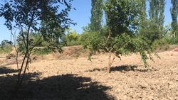 EŞİMİZLE İLETİŞİM KURMAK