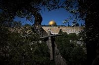 Photos show monks and nuns harvesting olives on the Holy Land’s Mount of Olives