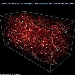 Weak Lensing Distorts the Universe