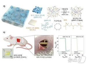 South Korean Scientists Develop Stretchable Biocompatible Implant