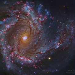 In the Center of Spiral Galaxy M61