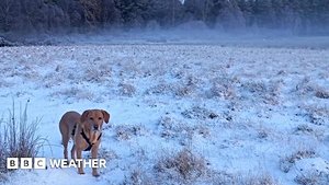 Arctic Blast Brings Snow Ice And Flood Warnings Across Ireland And UK