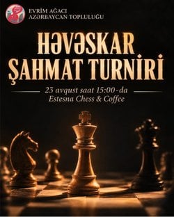 Həvəskar Şahmat Turniri