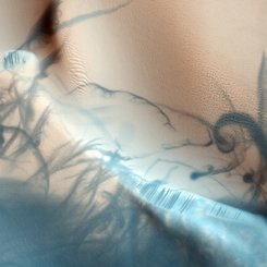 Martian Dust Devil Trails