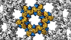 Scaffold Strategy Enables High-Resolution RNA Imaging