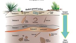 Karbon-14 Döngüsü