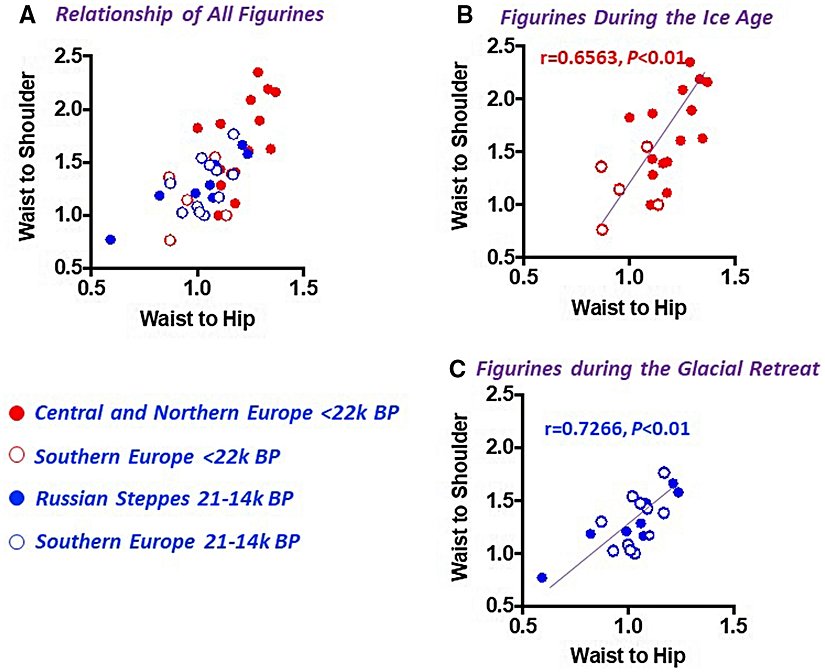 Şekil 3'te venüsler arası bel-omuz ve bel-kalça oranları arasındaki ilişki görülmektedir.