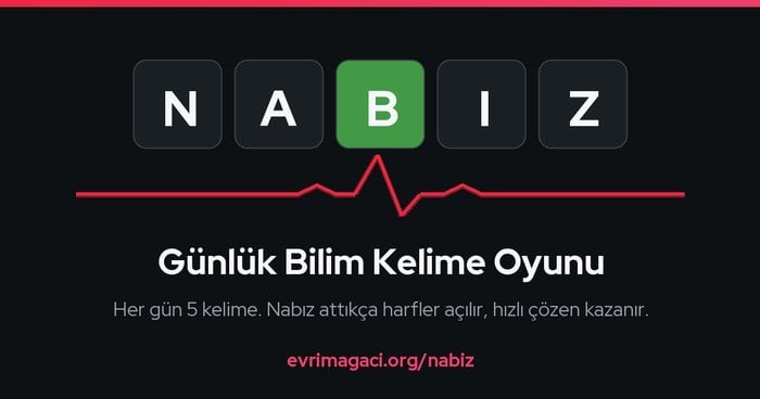 Nabız: Günlük Bilim Kelime Oyunu