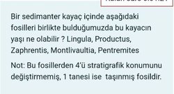 bir sedimanter kayaç içinde aşağıdaki fosilleri birlikte bulduğumuzda bu kayacın yaşı ne olabilir?