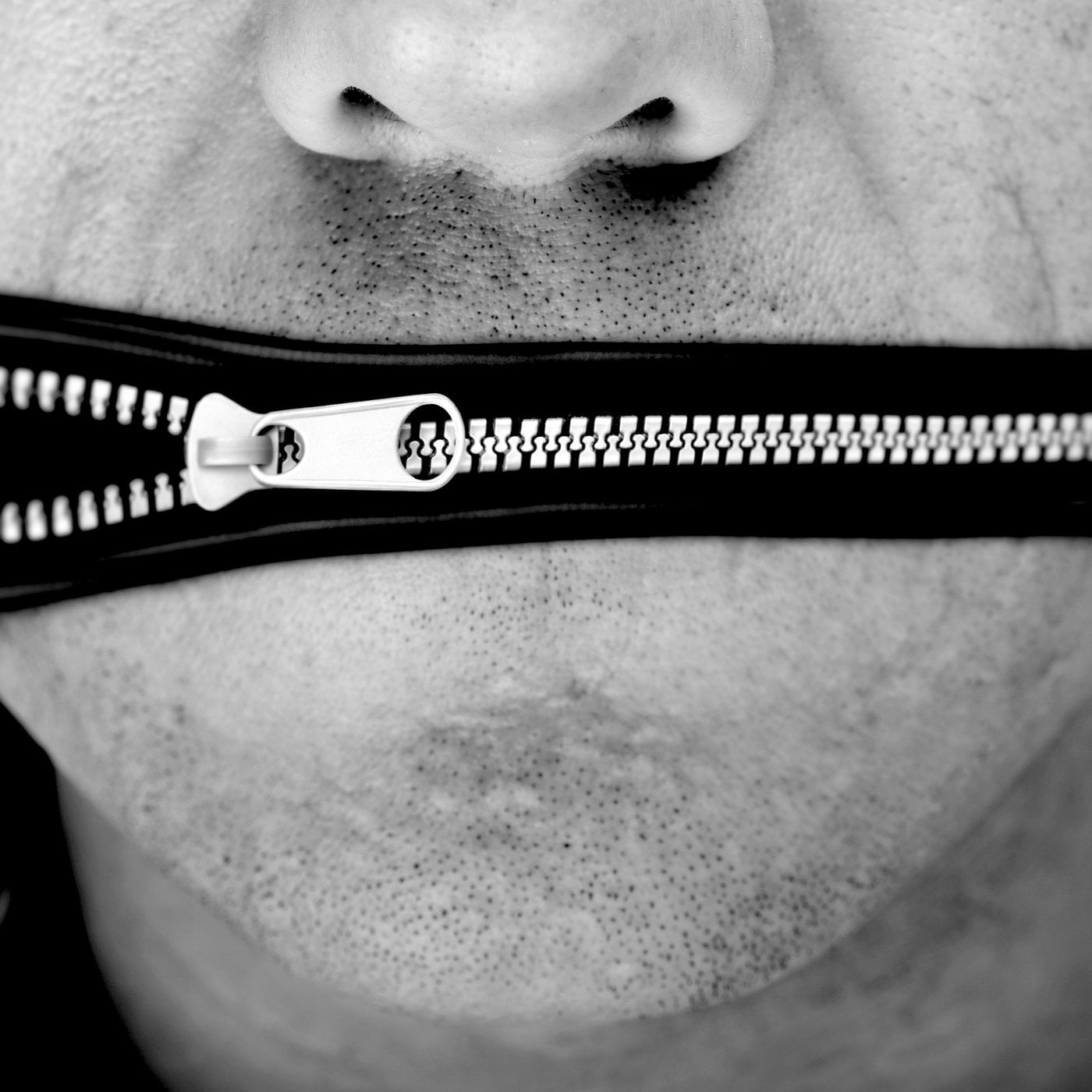 Evrim Ağacı ile Bilime Dair Her Şey!