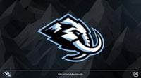 Utah Hockey Club has a new name. Here’s everything you need to know.