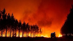 Thousands Evacuated As Wildfires Ravage Southern France