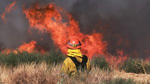 California Firefighters Reach Major Milestone Against Wildfire