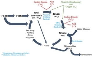 New Bacterial Consortium Offers Hope For Ammonia Removal