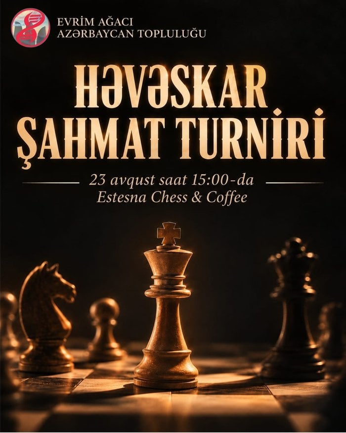 Həvəskar Şahmat Turniri
