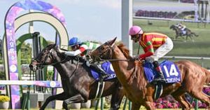 Hindentole Claims First G1 Victory At Emperor's Cup