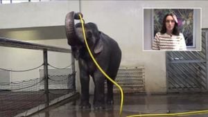 Elephant Mary Showers Herself While Anchali Plays Pranks