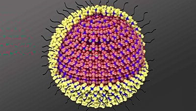 Kuantum Noktaları Nedir? Hangi Amaçla Kullanılır?