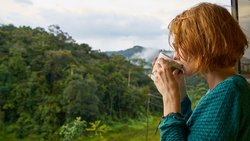 Nutrition and Health Claims Related to the Coronavirus