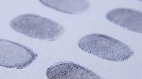 México implementará CURP con foto y huellas dactilares para la búsqueda de desaparecidos