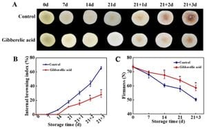 Perilla Seeds Unlock Secrets Of Dormancy Release With Gibberellin A3 Treatment