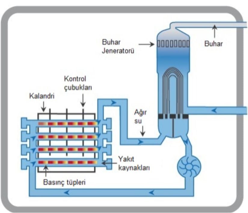 Bir Basınçlı Ağır Su Reaktörü Çekirdeği