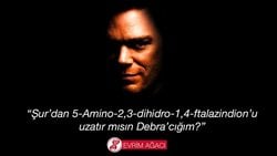 CSI: Evrim Ağacı ve Lüminesans: Işık Olsun!