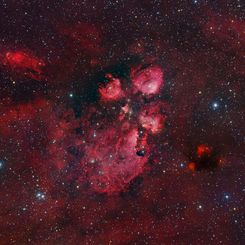 The Cat's Paw Nebula