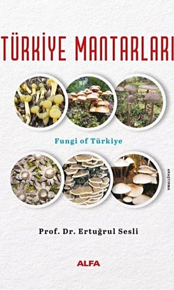 Türkiye Mantarları