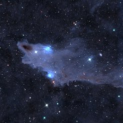 Köpekbalığı Bulutsusu