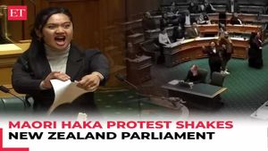 Māori MPs Disrupt New Zealand Parliament With Haka