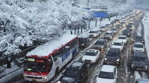 Severe Snowfall And Frigid Temperatures Hit South Korea