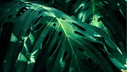 Biyoenformatik ve Veri Analizi: Biyolojik Verinin Gücü