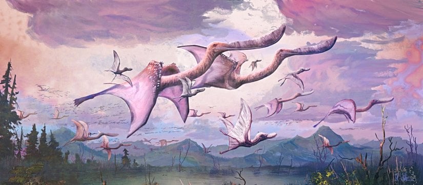 Temsili bir pterodaustro çizimi.  Çizen: Mark Witton