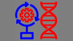 Evrim Kuramı ve Mühendislik